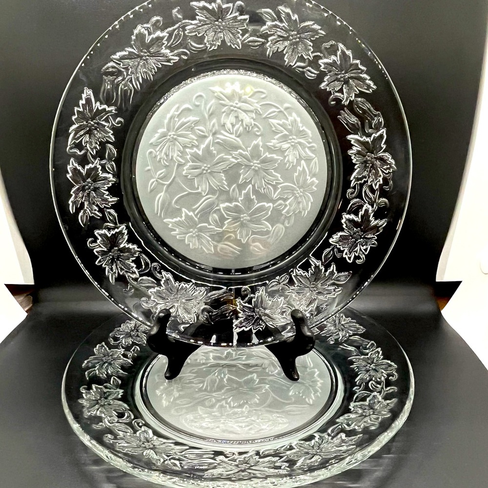 Princess House Fantasia 10inch Dinner Plates TWO
